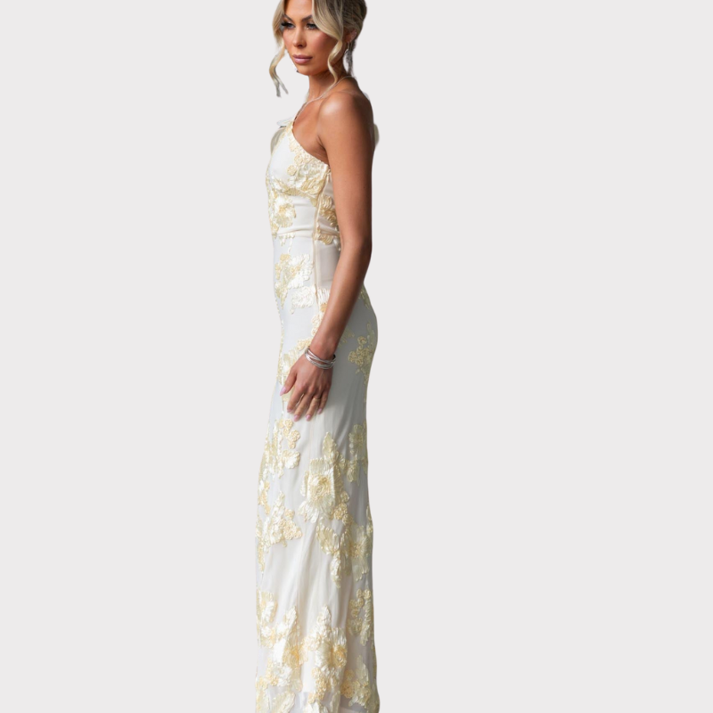 Celeste | One-Shoulder Embroidered Mesh Maxi Dress Liora Lane Boutique