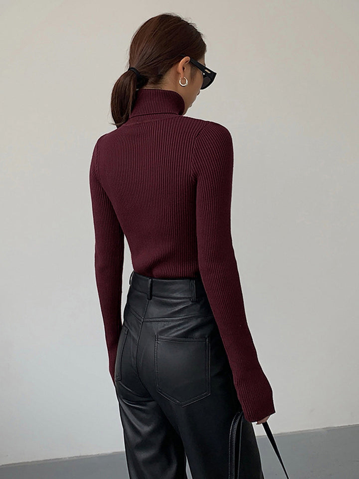 Minimalist Turtleneck Slim Knit Top  Liora Lane Boutique Knit Tops
