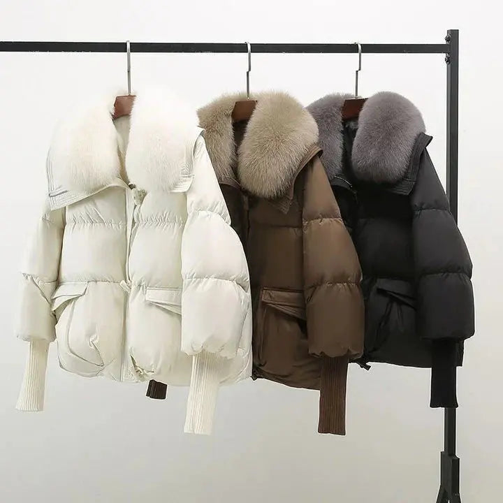 Velistra™ – Luxe Collar Down Jacket Jasmine's Boutique Australia